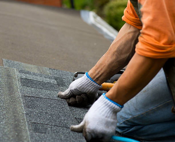 Quick and Trustworthy Emergency Roof Repair Services in Brownsville, TN